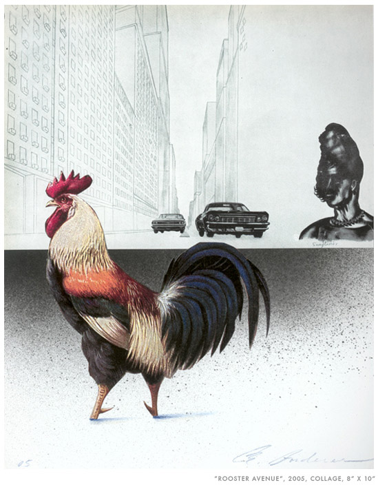 Rooster ave