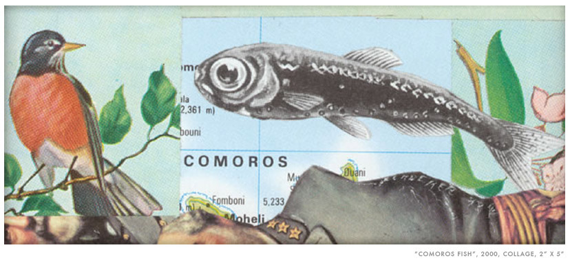 comoros